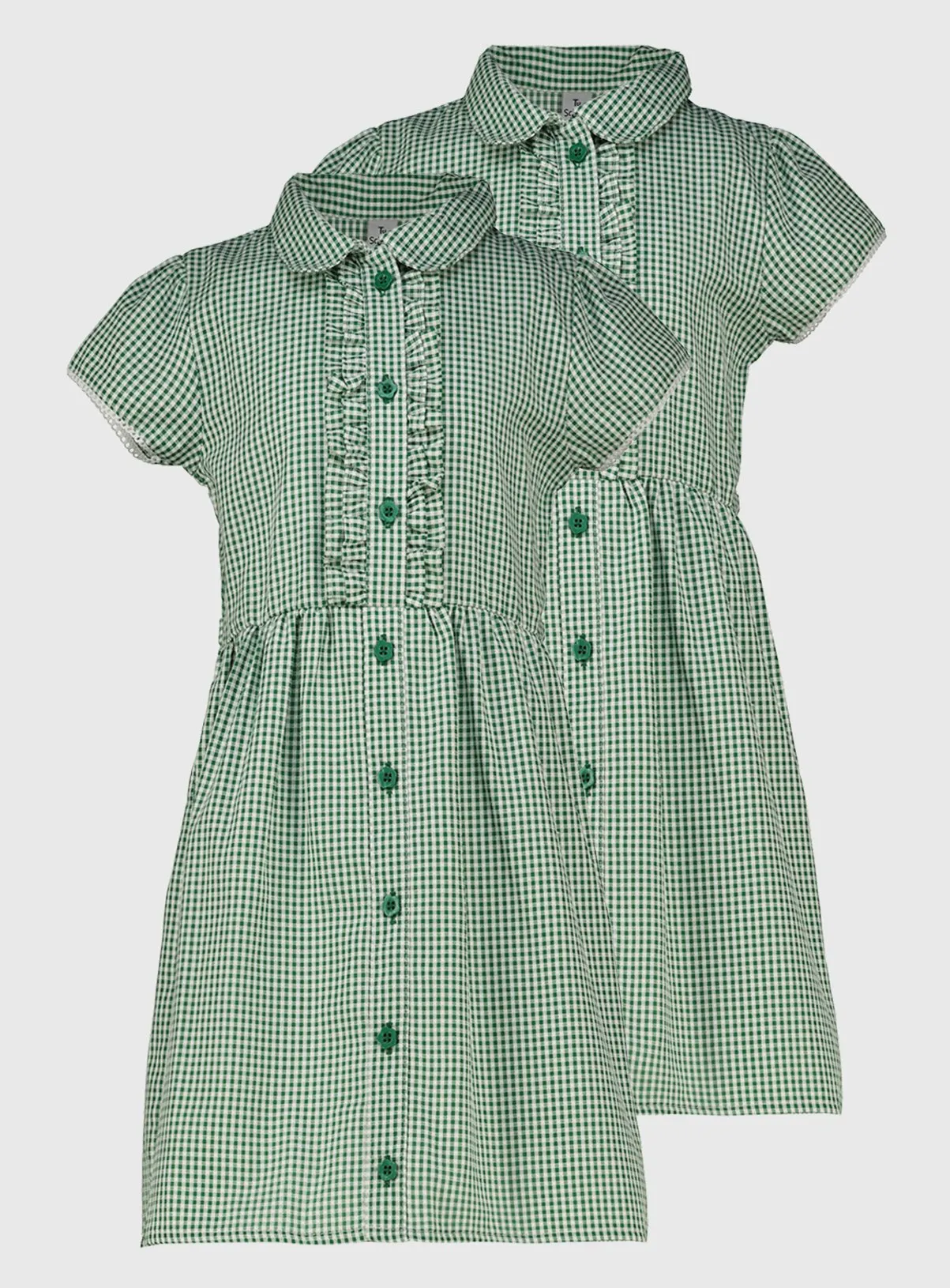Buy Green Gingham Classic School Dress 2 Pack 13 years | School dresses | Tu